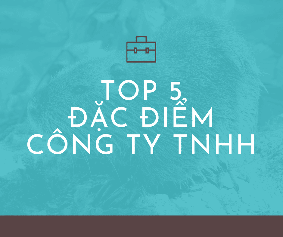 5 đặc điểm công ty TNHH