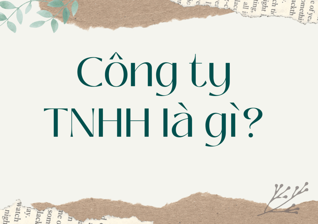 Công ty TNHH là gì?