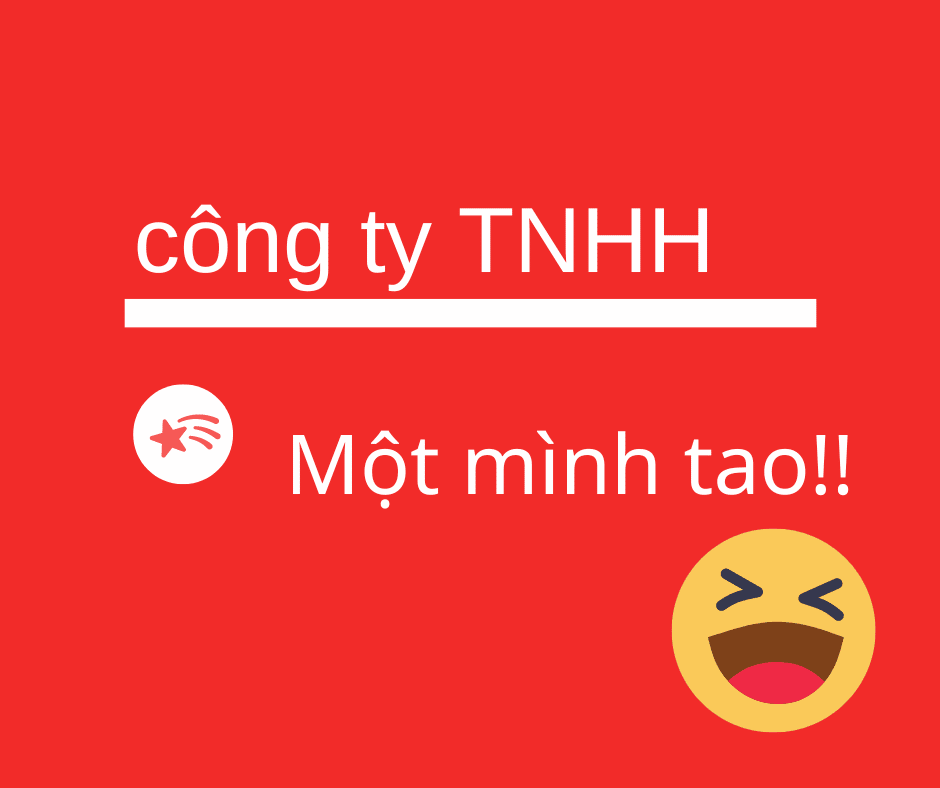 Công ty TNHH một mình tao