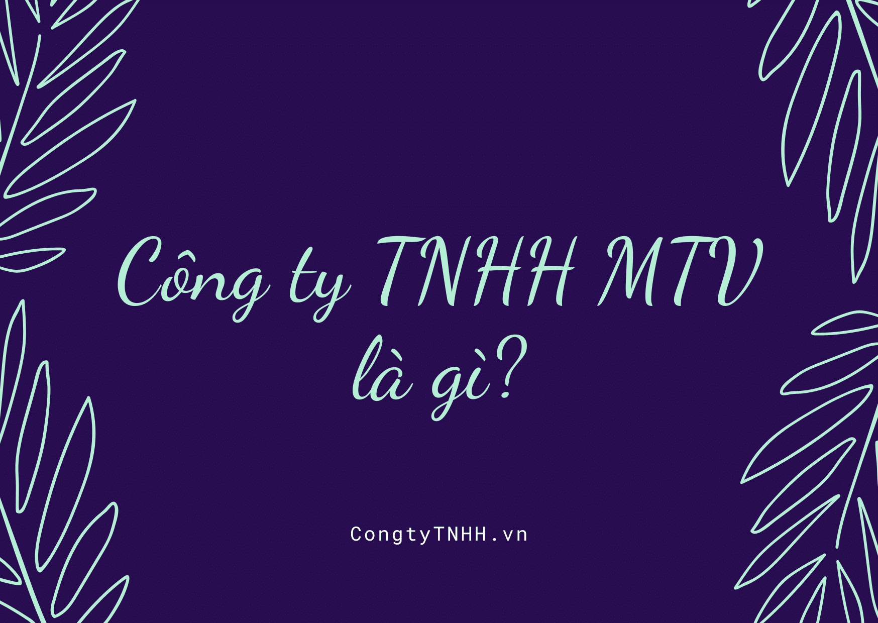 Công ty TNHH MTV là gì?