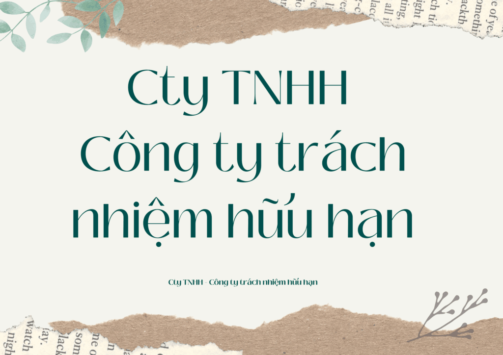 cty TNHH - công ty trách nhiệm hữu hạn là gì?