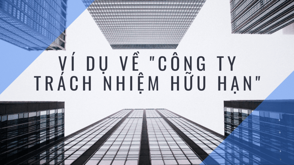 Ví dụ về công ty trách nhiệm hữu hạn
