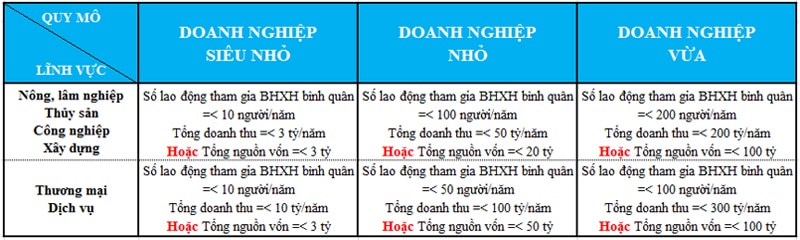 Doanh nghiệp siêu nhỏ là gì