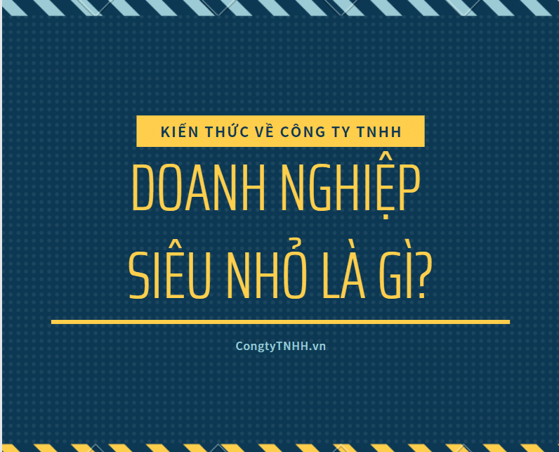 Doanh nghiệp siêu nhỏ là gì?