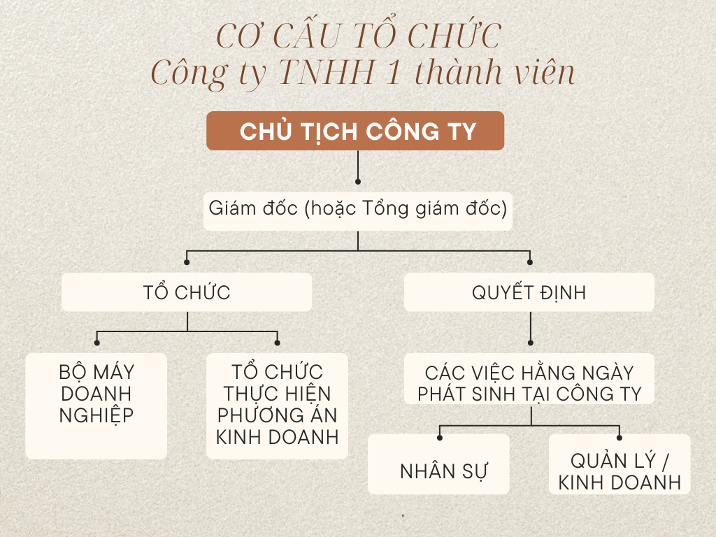 cơ cấu tổ chức công ty tnhh 1 thành viên