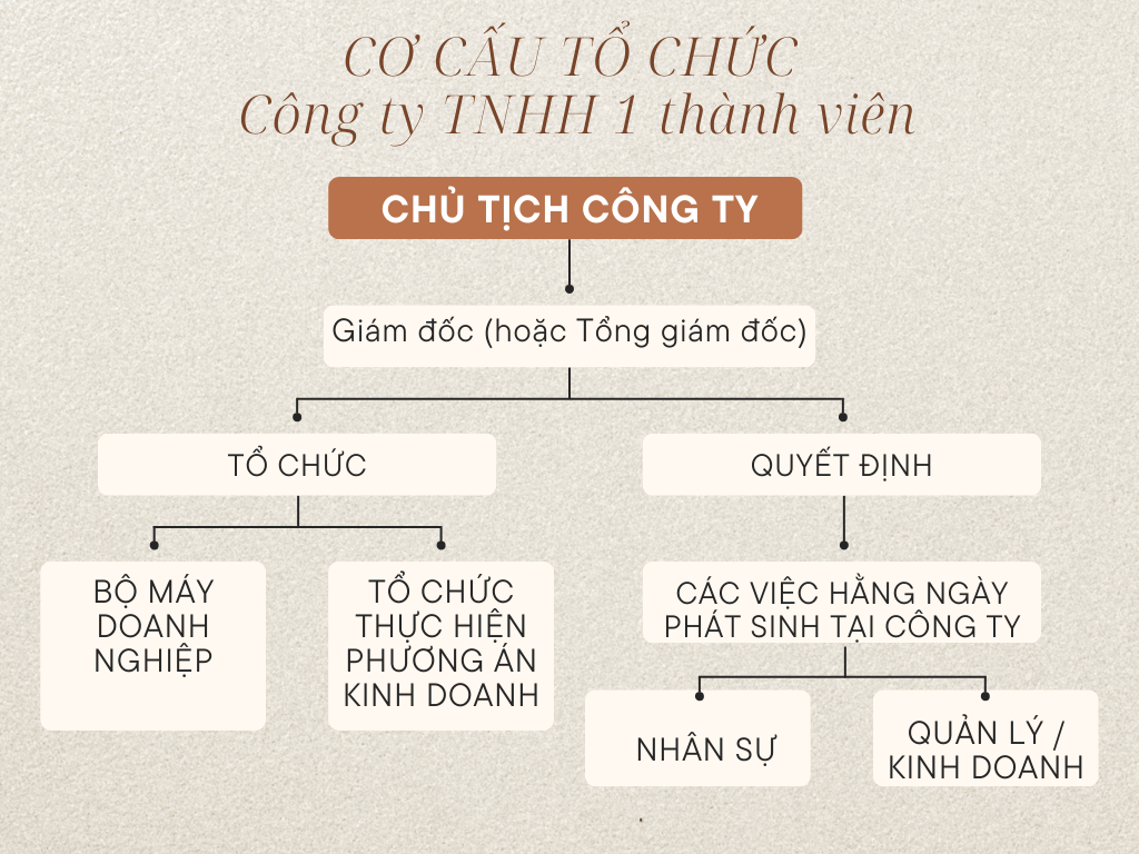 cơ cấu tổ chức công ty tnhh 1 thành viên