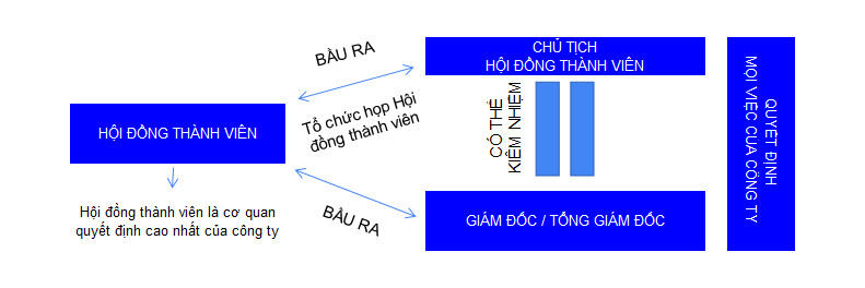 cơ cấu tổ chức công ty tnhh 2 thành viên