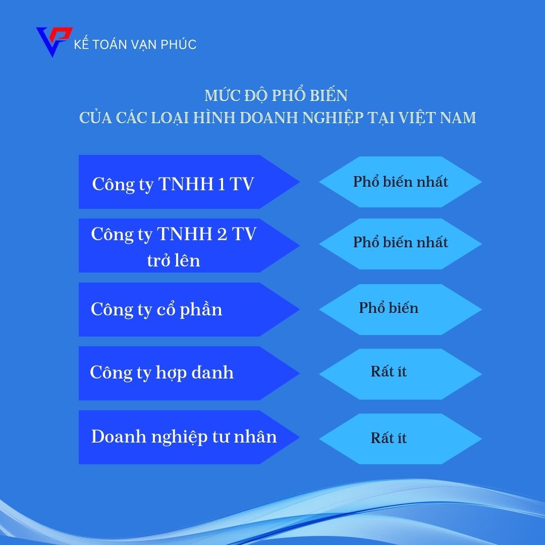 MỨC ĐỘ PHỔ BIẾN CỦA CÁC LOẠI HÌNH DOANH NGHIỆP TẠI VIỆT NAM